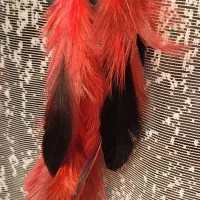 گوشواره پر مشکی قرمز