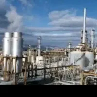 جویای کار باپرداخت شیرینی