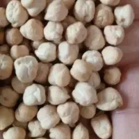 نخوددرجه یک پزا بدون آشغال کیلویی 160