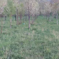 فروش باغ‌‌ در روستای الاحق