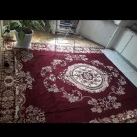 روفرشی مخمل ۱۲ متری