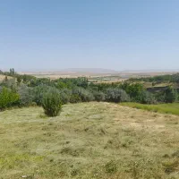 زمین با ۵ ساعت آب مخصوص باغ