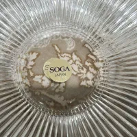 ظروف پذیرایی سوگا ژاپن