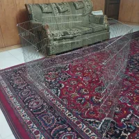 قفس حیوانات