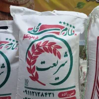 برنج طارم فریدونکنار شریعت