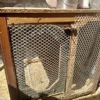 قفس مناسب مرغ و کفتر