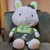 خرگوش با مزه