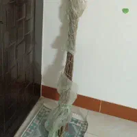 بید خشک قرمز