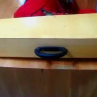 فروش  سه تار حرفه ای  نو با جعبه چوبی