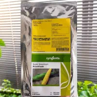 بذر ذرت سوپر شیرین اکسن چوئیت Syngenta 2025