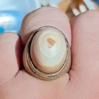سلیمانی سه پوست بقرانی  هندی اصل