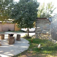 حرکت به سمت گرگان