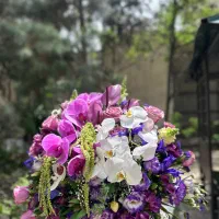 گلفروشی زیر قیمت بازار گل