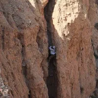 انواع عسل طبیعی از جاهای بکر طبیعت
