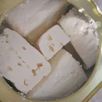 پنیر گاوی پرچرب