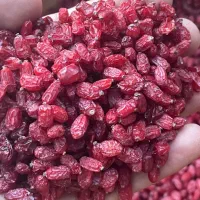 زرشک|خوردنی و آشامیدنی|نیشابور, فضل|دیوار