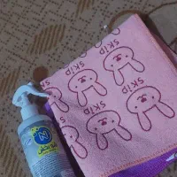 نظافت منزل فقط برای خانم های گل