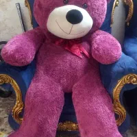 خرس خارجی بزرگ