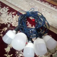 ریسه و لامپ عروسی