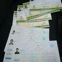 دیپلم قانونی