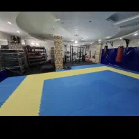 منشی خانم برای باشگاه شیفت چرخشی