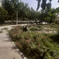 باغبانی و درختکاری