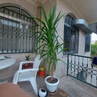 فروش گل و گیاه اپارتمانی