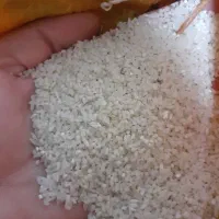 نیم دانه هاشمی