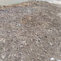 کود گوسفندی دو ساله قیمت توافقی