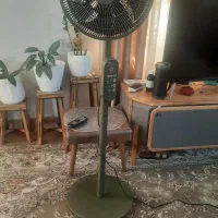 پنکه لایف لند