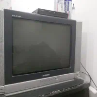 تلویزیون