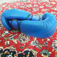 دستکش بوکس وِنوم سایز ۱۲