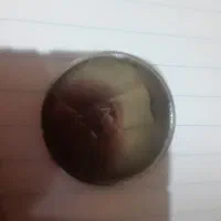 سکه نقره|کلکسیون سکه، تمبر، اسکناس|محمدشهر, شهرک پیام (مهرالبرز)|دیوار