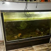 اکواریوم شیشه  ده میل کمد  و پایه
