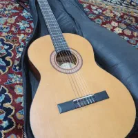 گیتار پارسی m2
