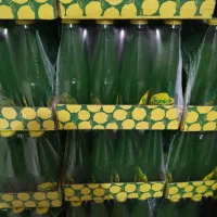 لیموناد شیشه ای سن ایچ