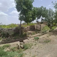 ۲۰۰متر باغ ماشین رو با چاه آب طایقان