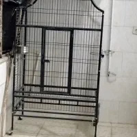 فروش قفس بزرگ طوطی سان