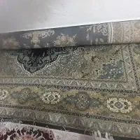 قالی ۱۲متری درحدنو