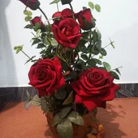 گل خارجی