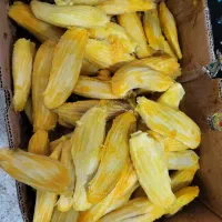 هسته انبه