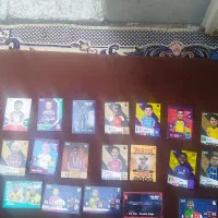 فو تبالی۲۳تاهستند