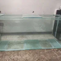 آکواریوم