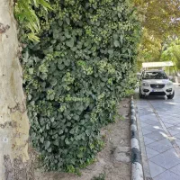 ویلایی۲۳۰ متر زمین  - ۱۳۰ متر زیربنا - صدف - معلم