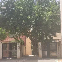 ۶۰ متری فاز ۱ تک خواب سند تک برگ