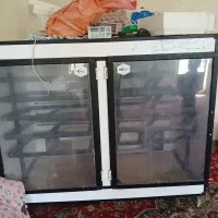دستگاه جوجه کشی 2016 عددی در حد