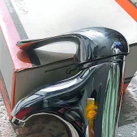 شیر روشیویی،مارک شیبه