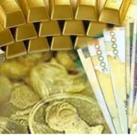 جذب سرمایه گذار باسود تضمینی