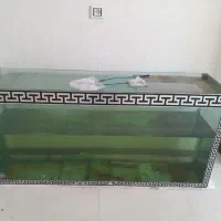 اکواریوم ماهی