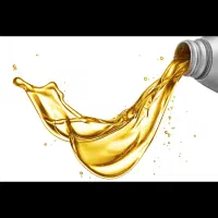 استخدام نیروی خانم